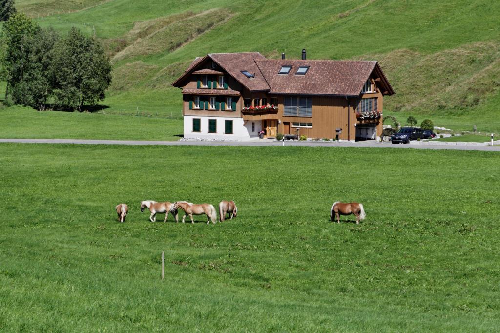 Вилла Haflingerhof Fruhboden Egg Экстерьер фото